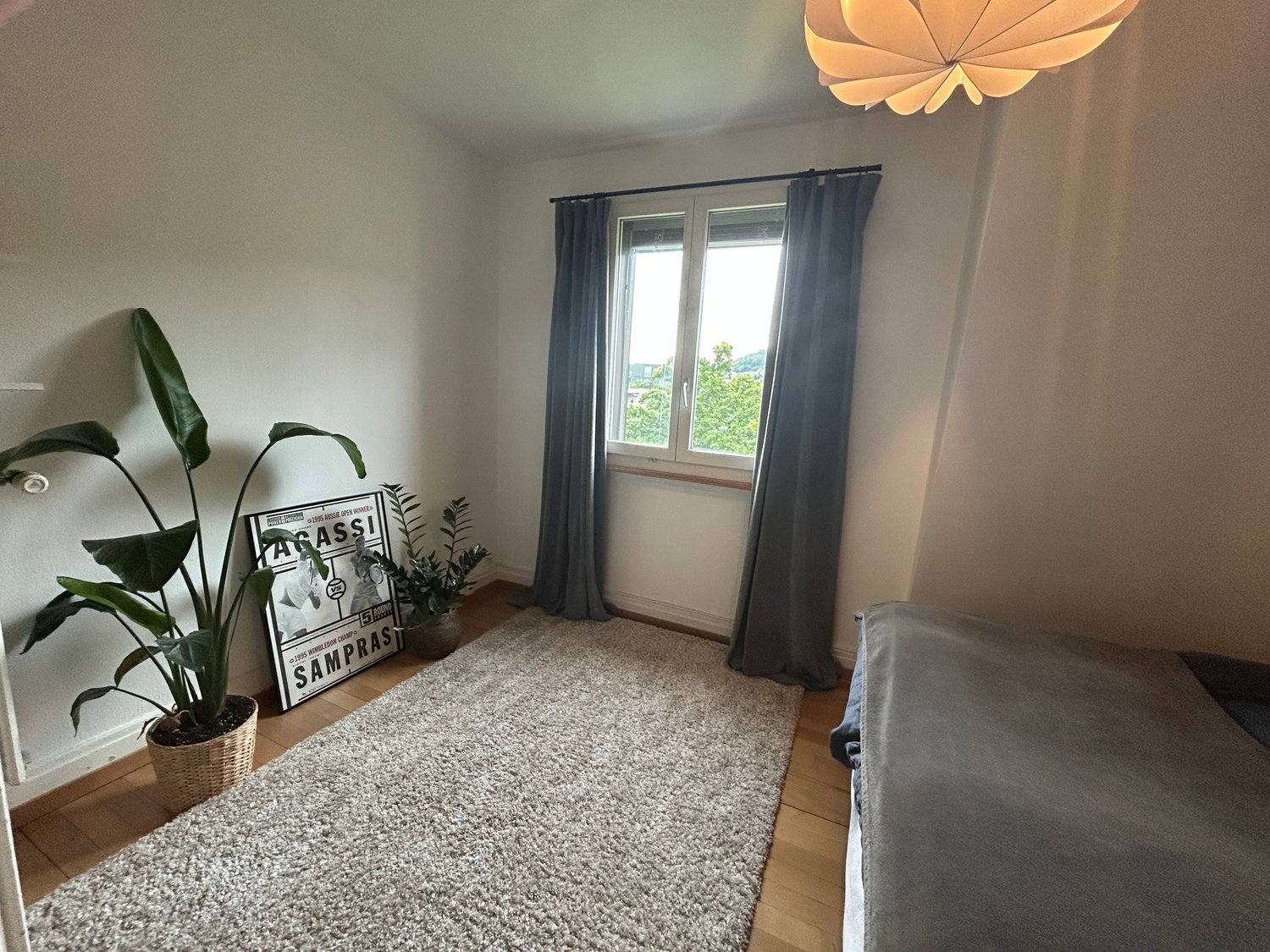 Room in a shared flat