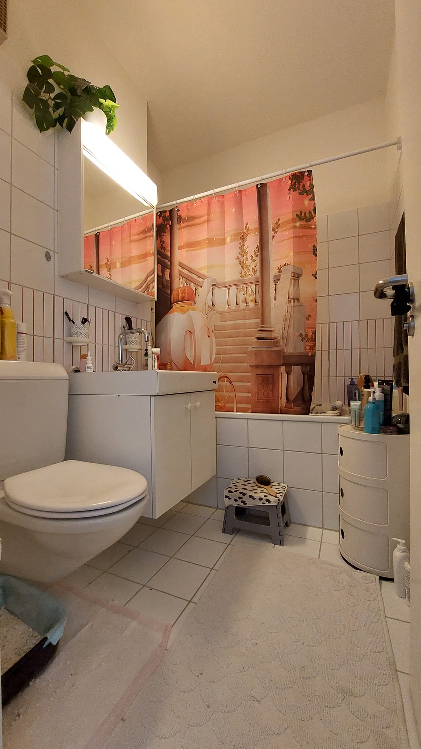 2 ½ Zimmer-Wohnung