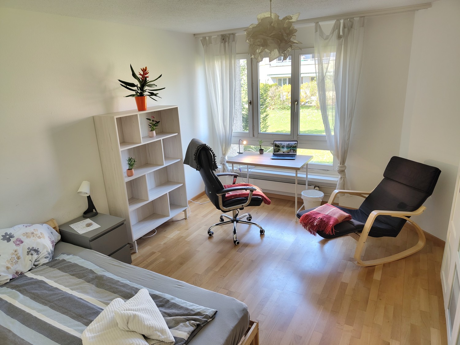 Room in a shared flat