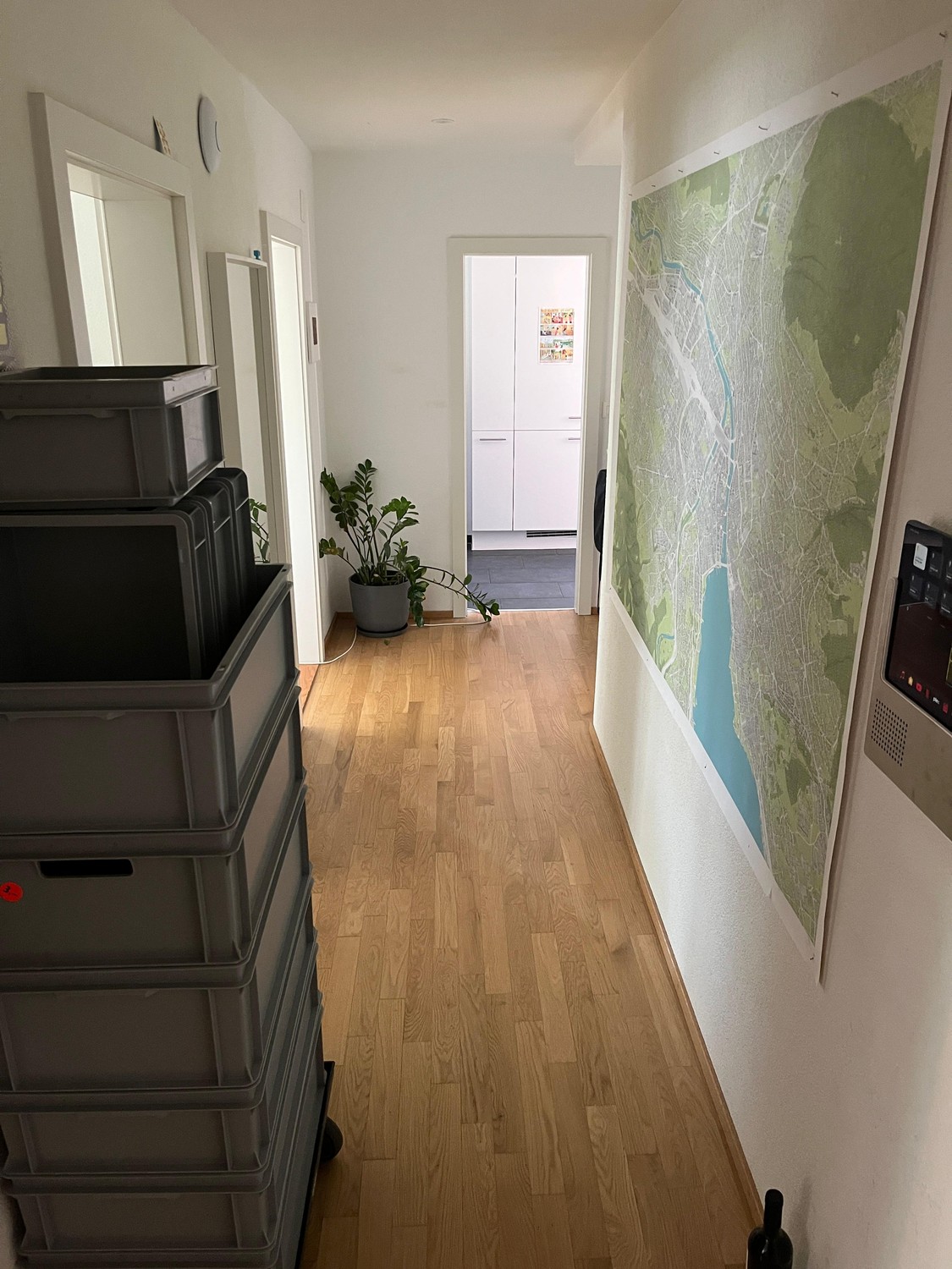 Room in a shared flat