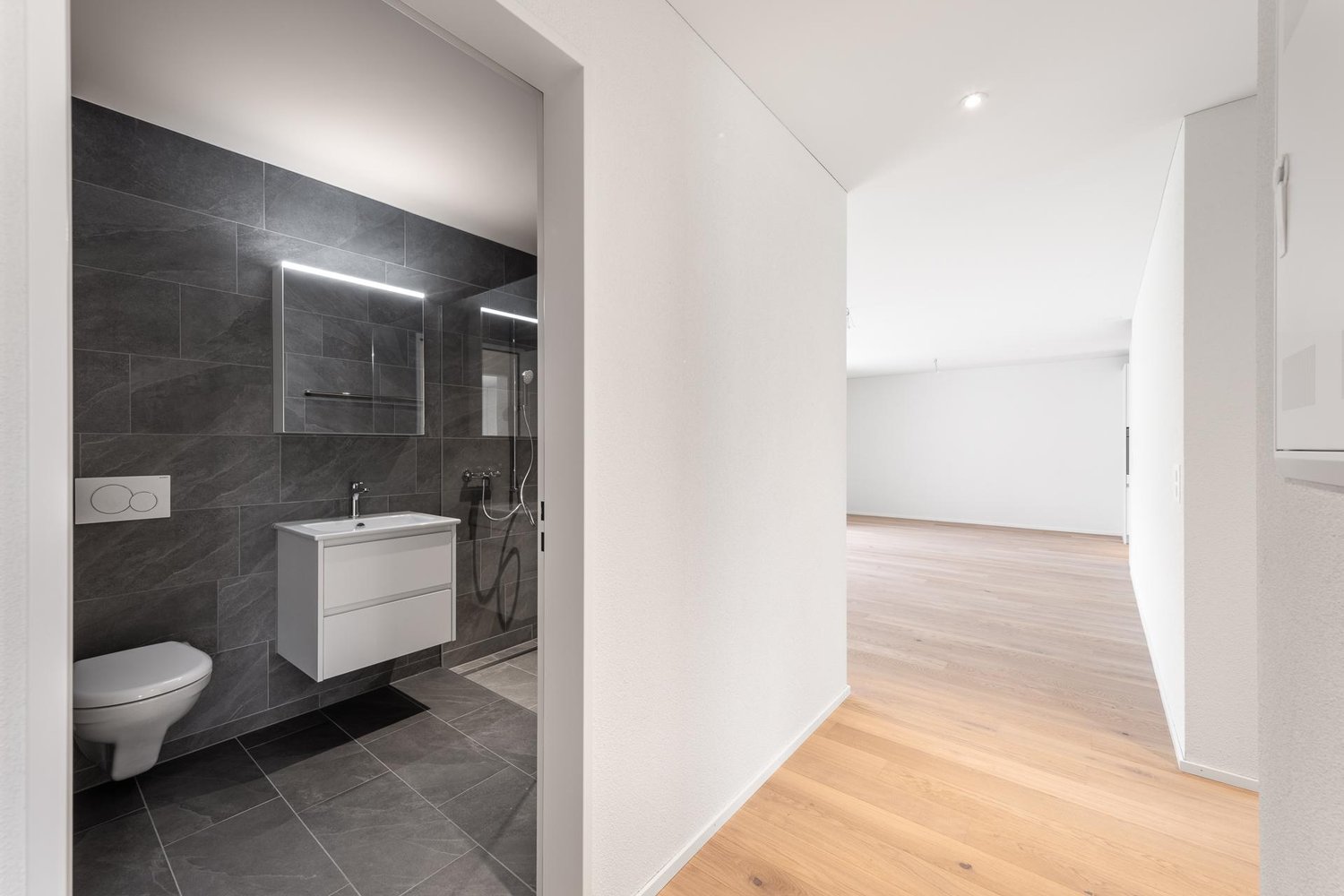 Appartement de 3 ½ pièces