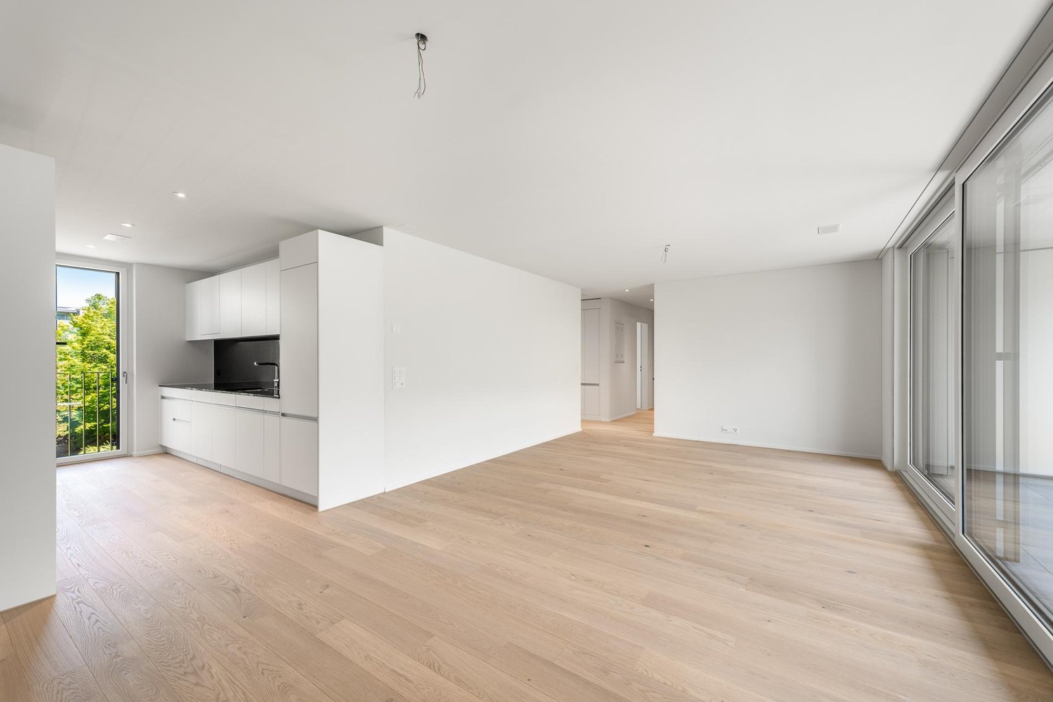 Appartement de 3 ½ pièces