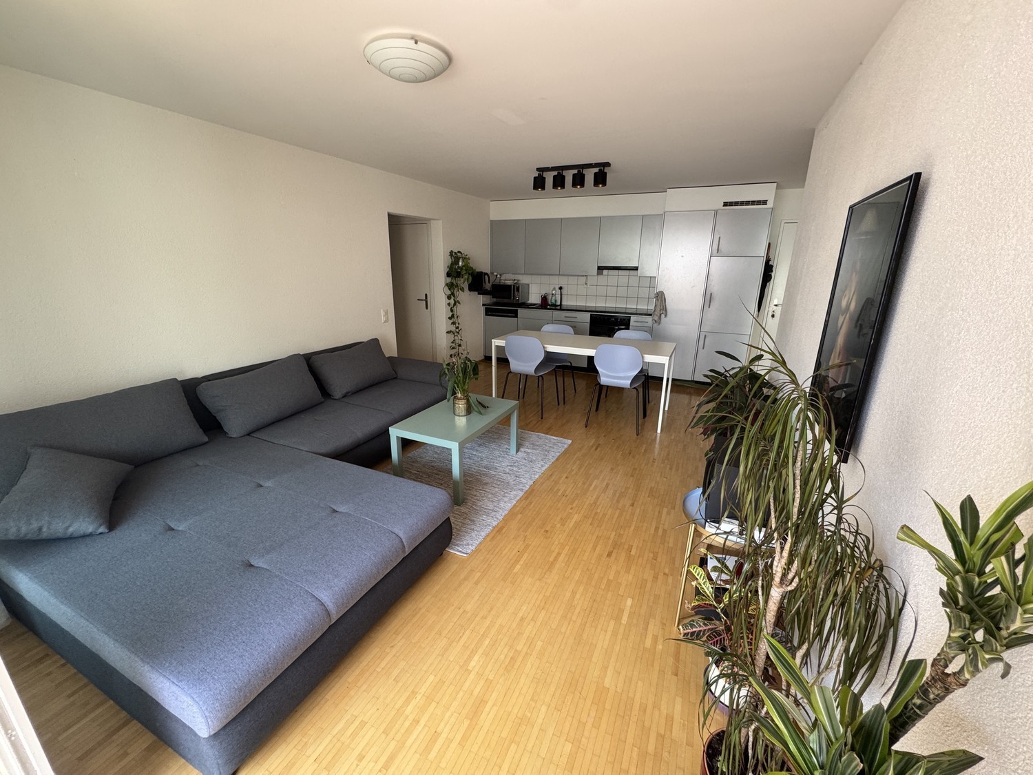 Room in a shared flat