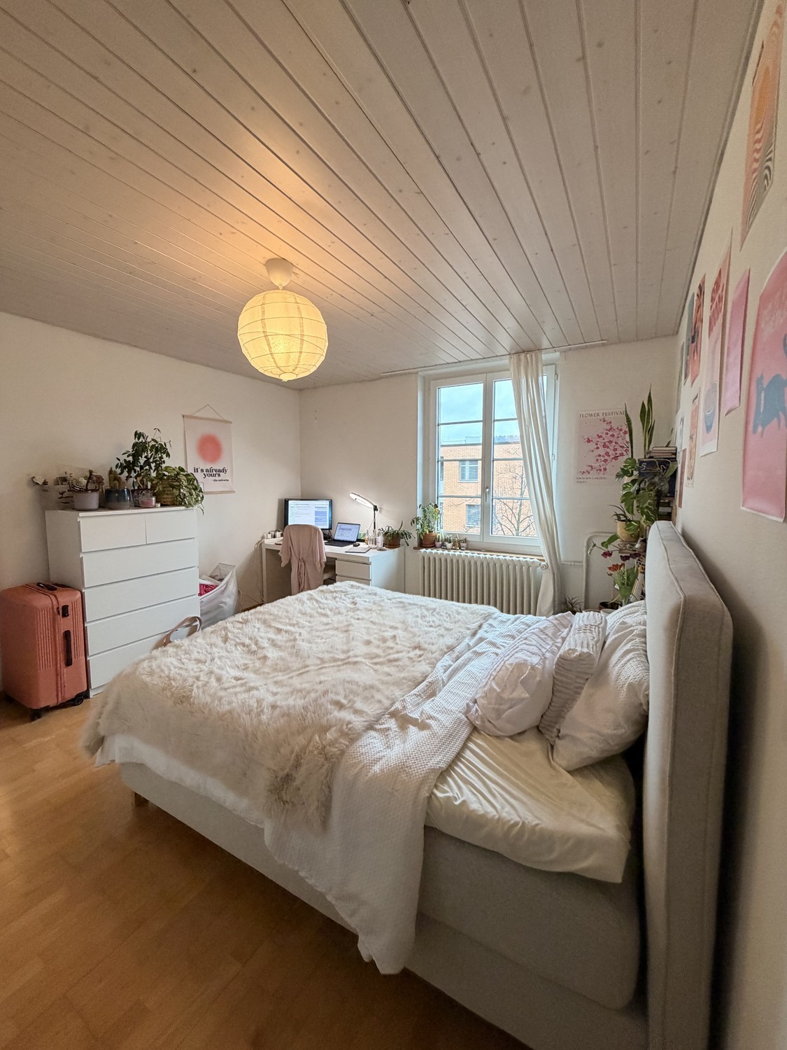 Room in a shared flat