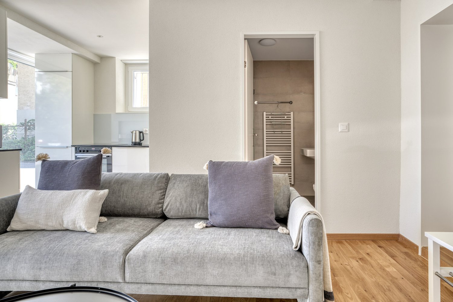 2 ½ pièces appartement meublé