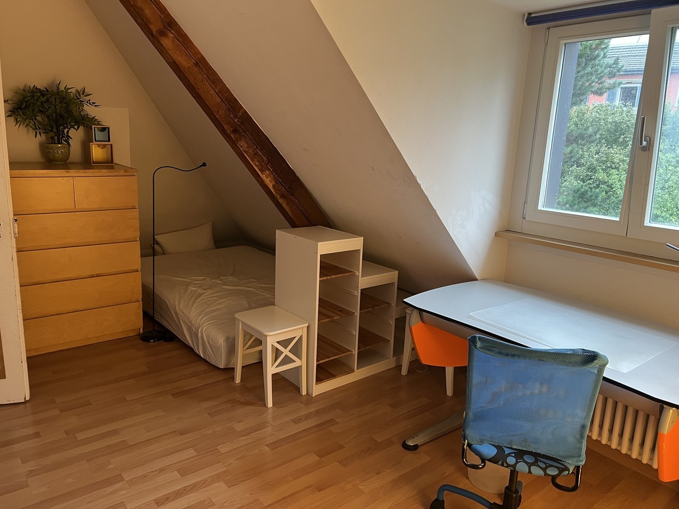 Room in a shared flat
