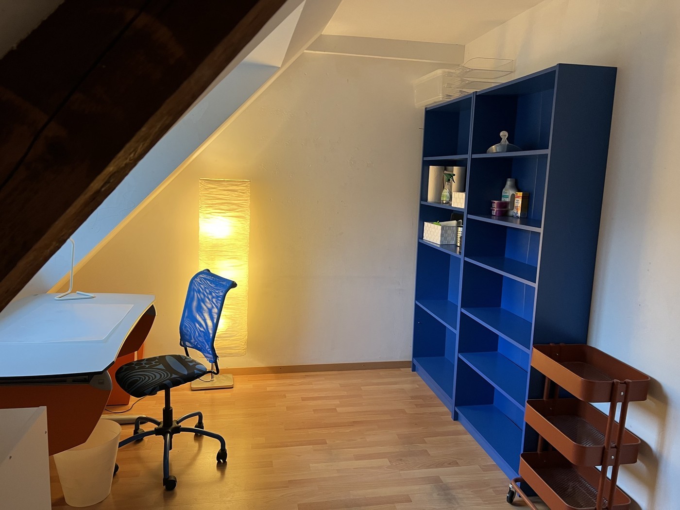 Room in a shared flat