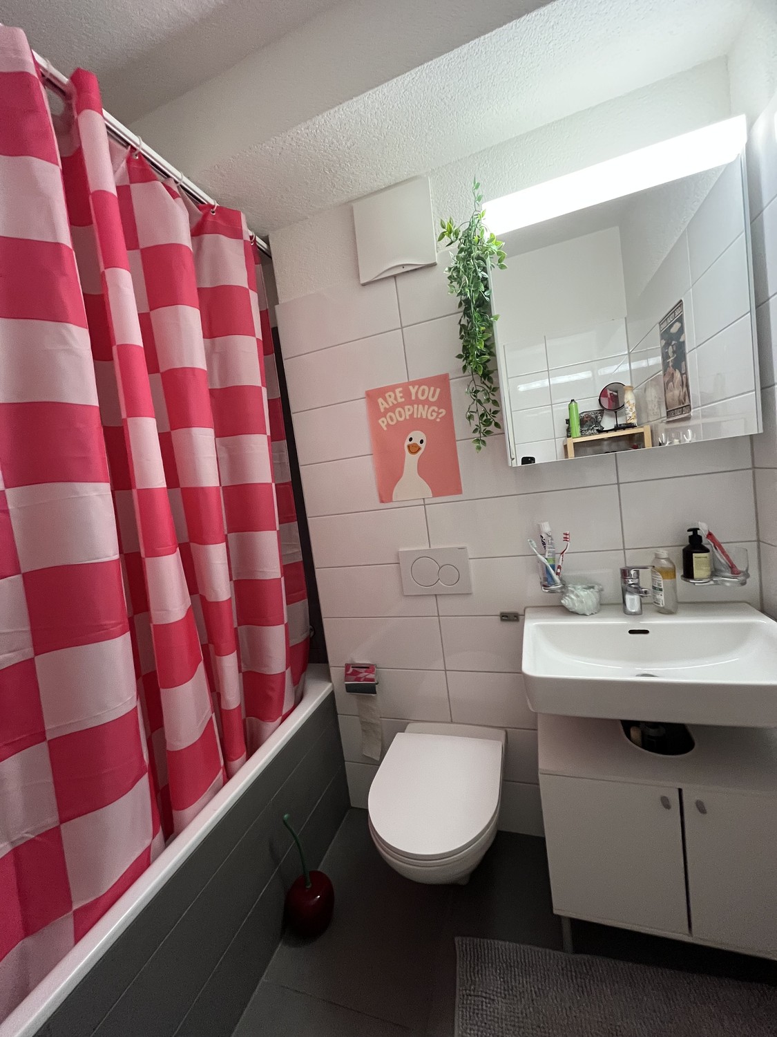 Room in a shared flat