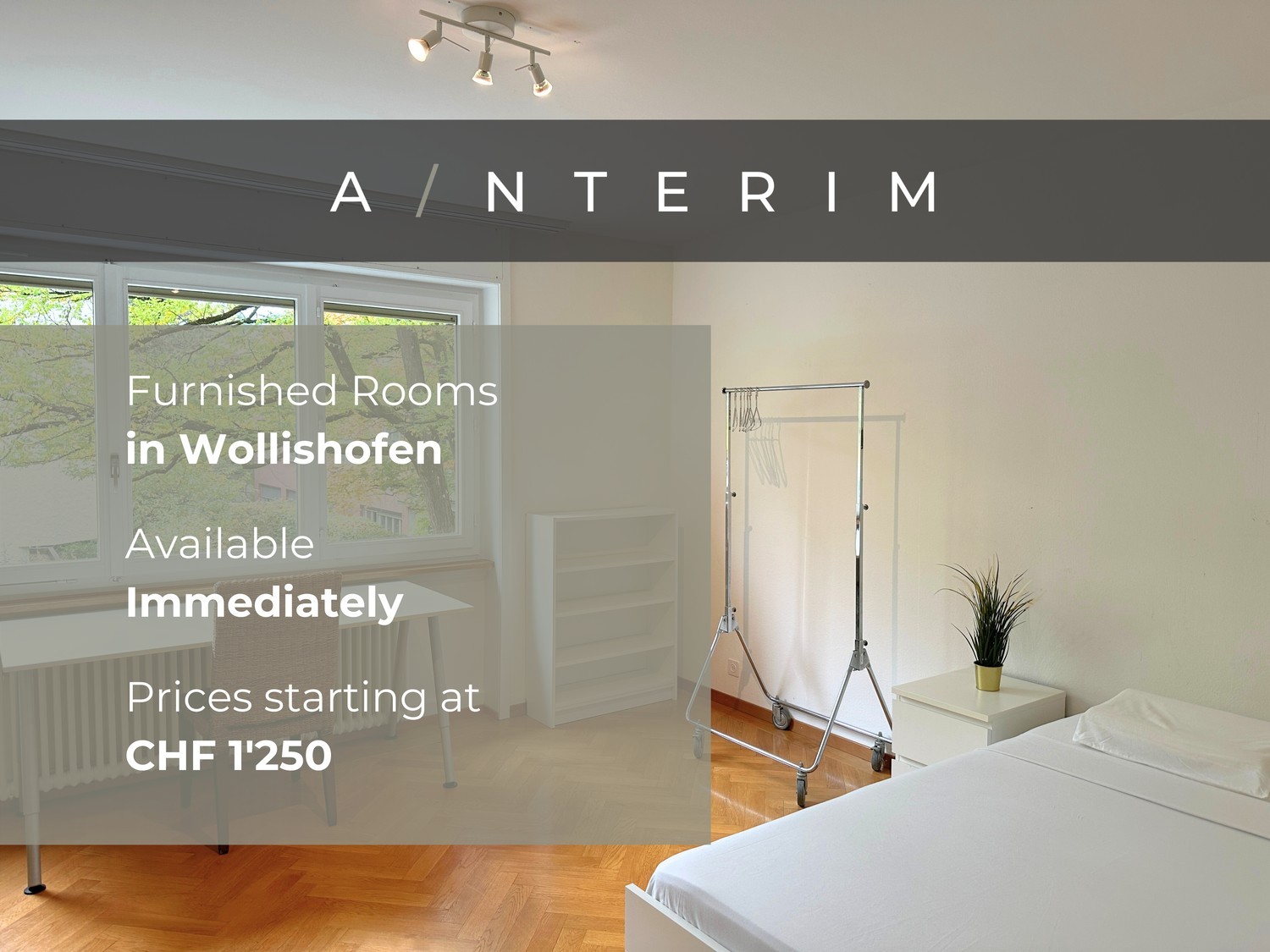 Room in a shared flat