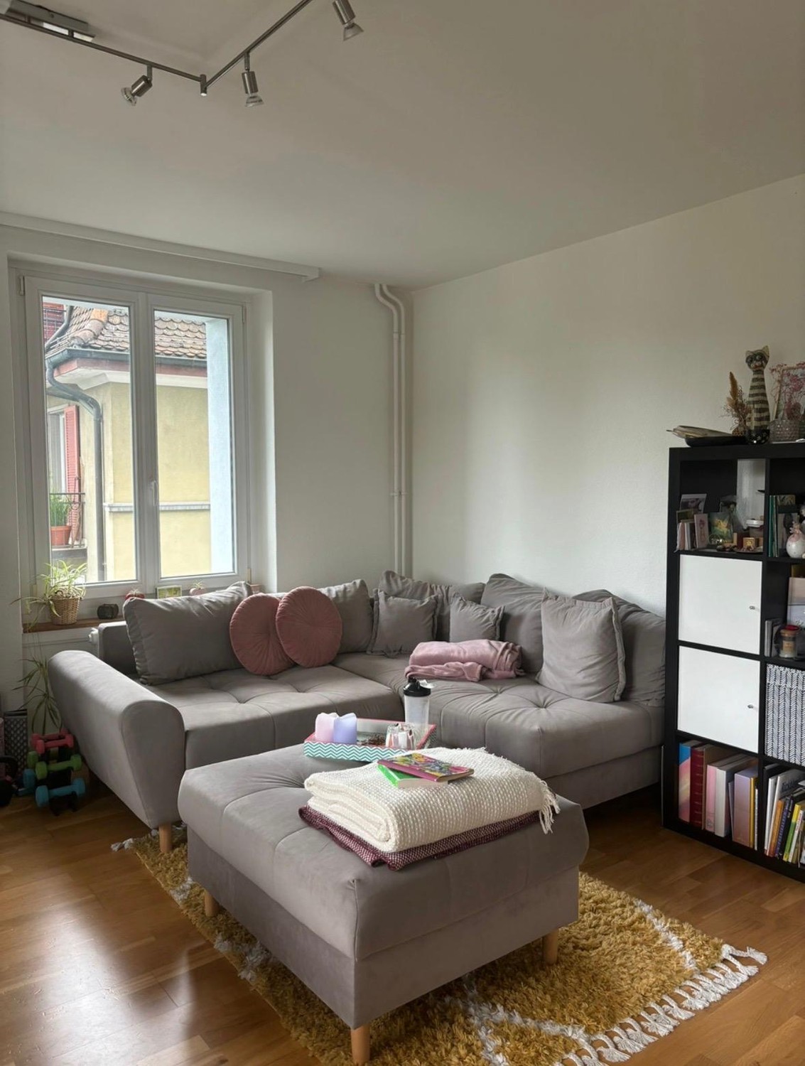 Room in a shared flat