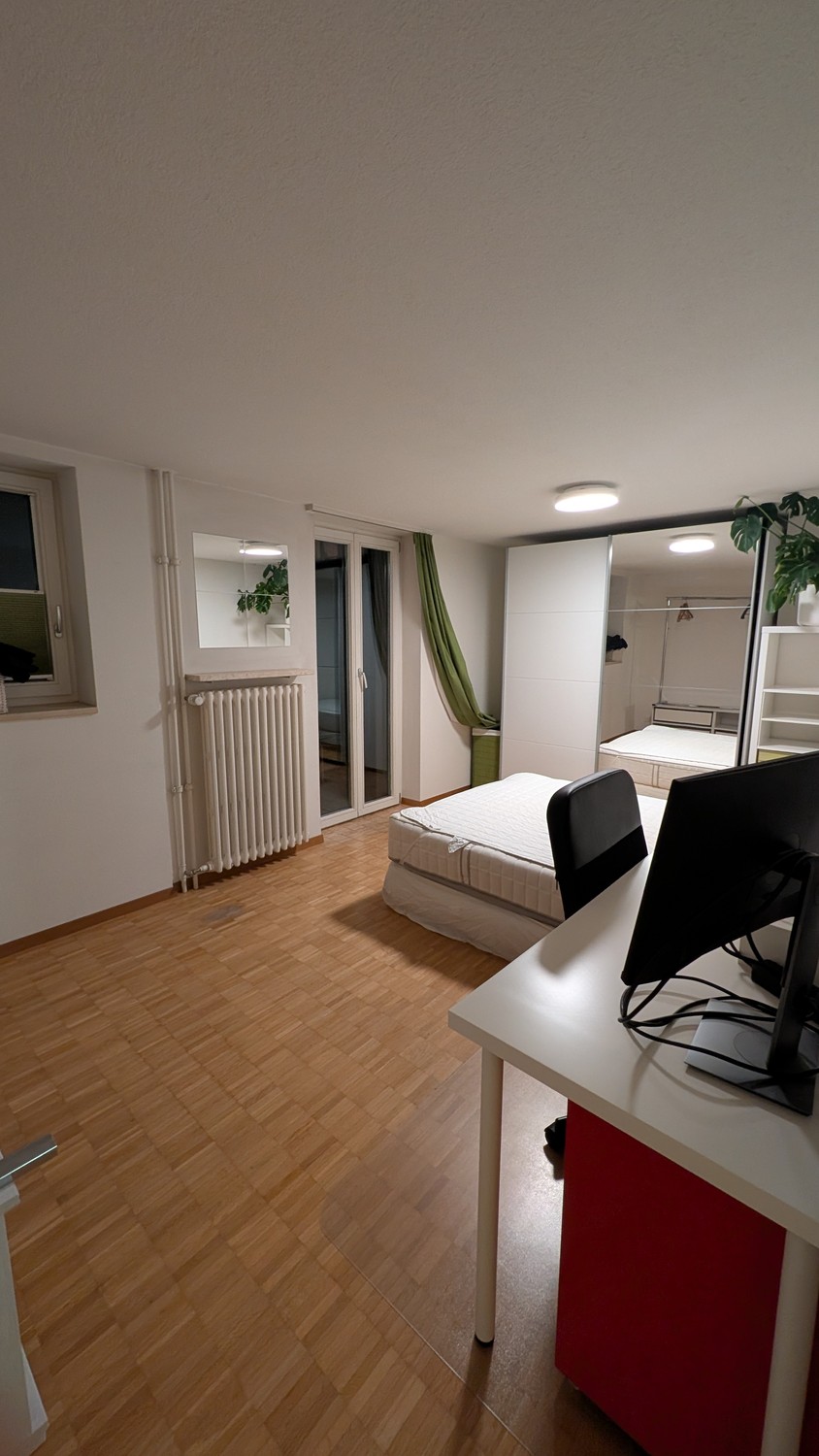 Room in a shared flat