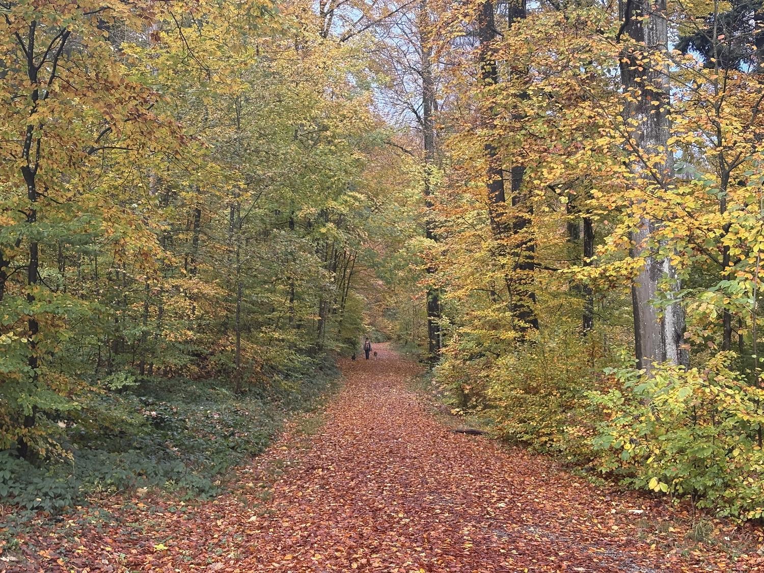 Zimmer in einer WG