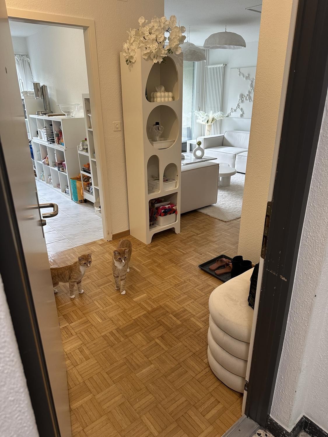 3 ½ rooms apartment
