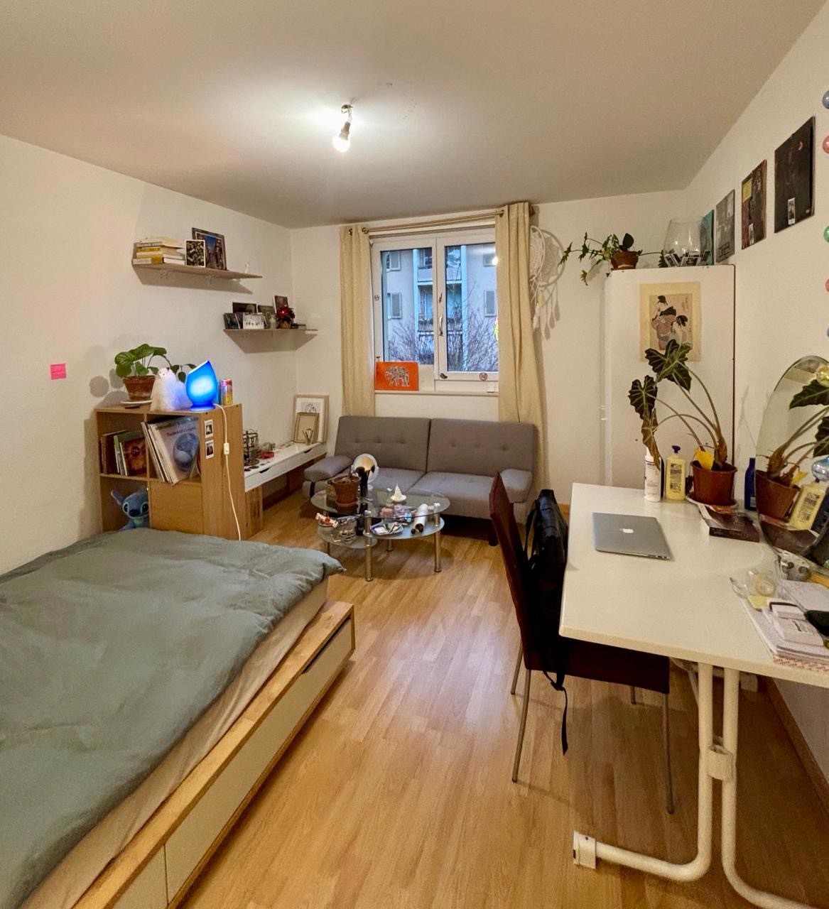 Room in a shared flat