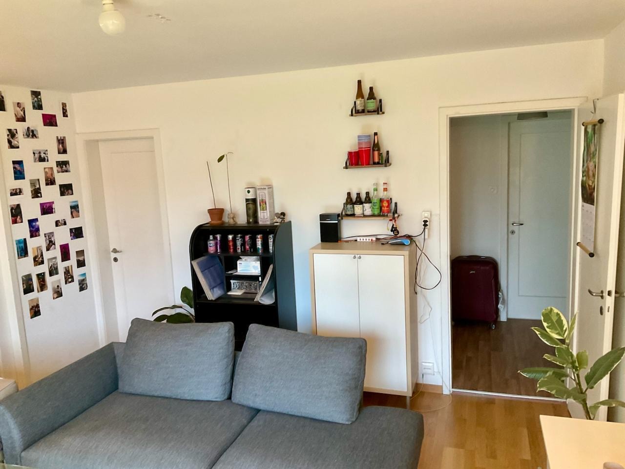 Room in a shared flat