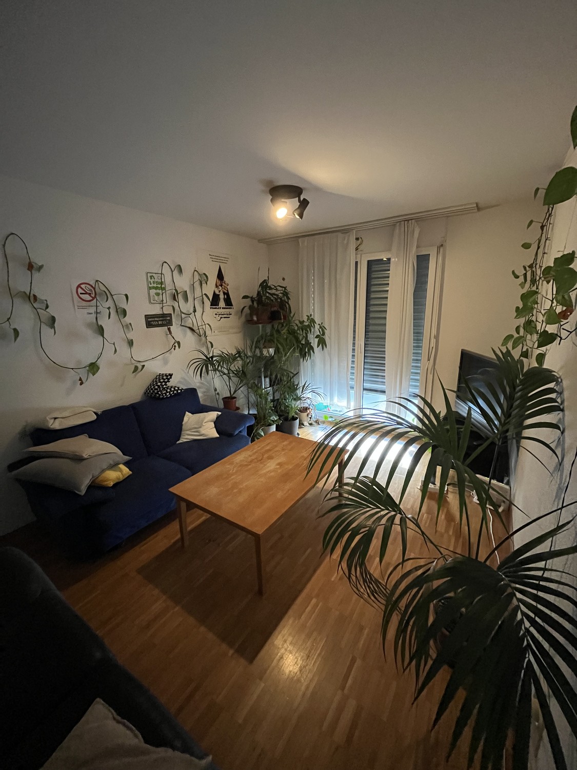 Room in a shared flat