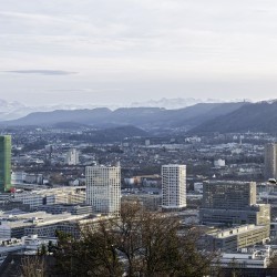 2 ½ Zimmer Wohnung