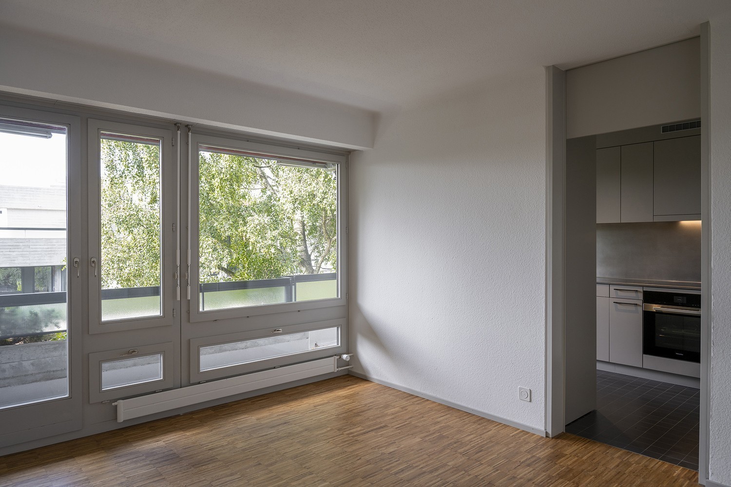 4 ½ rooms apartment