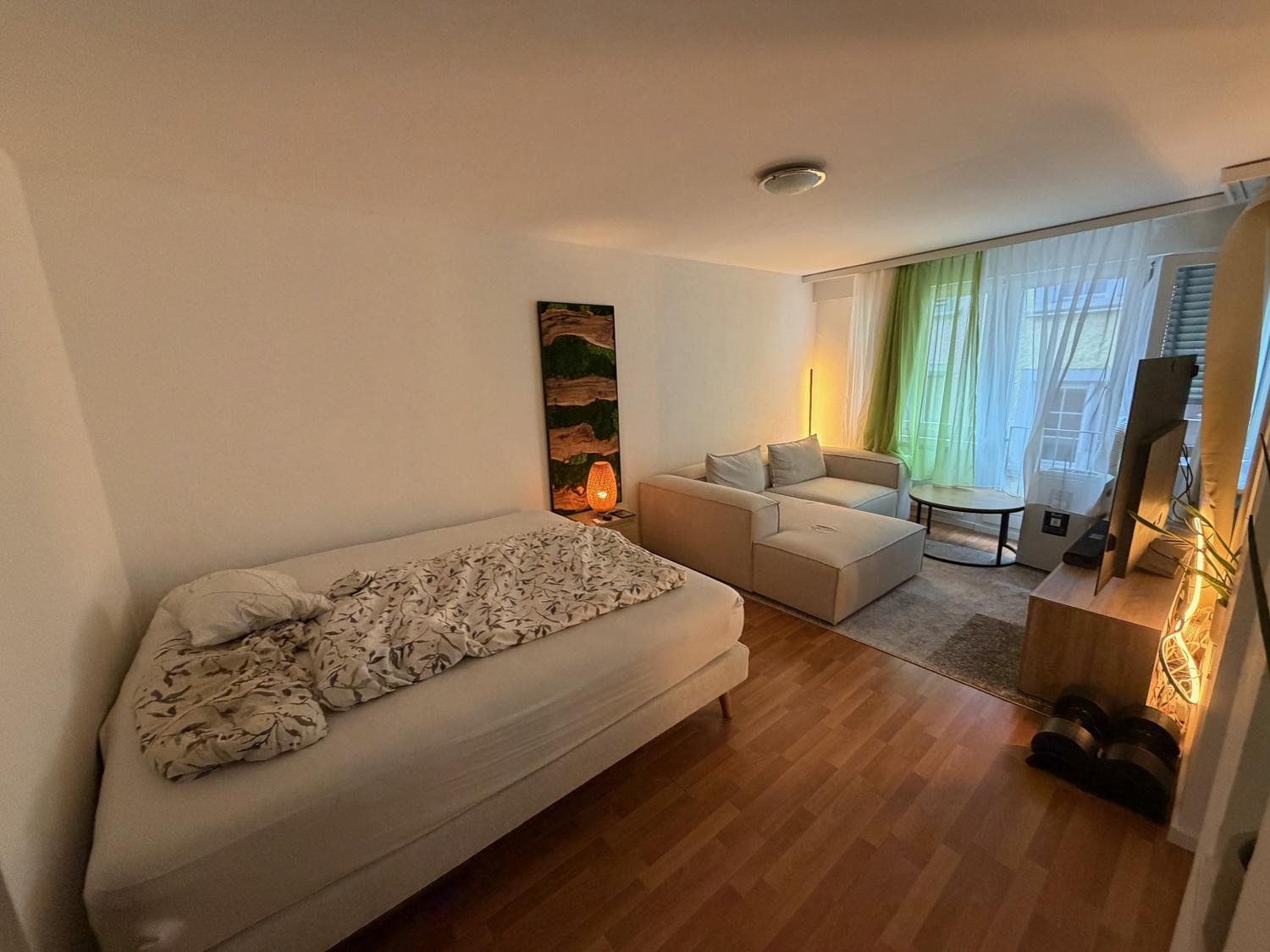 2 ½ rooms apartment