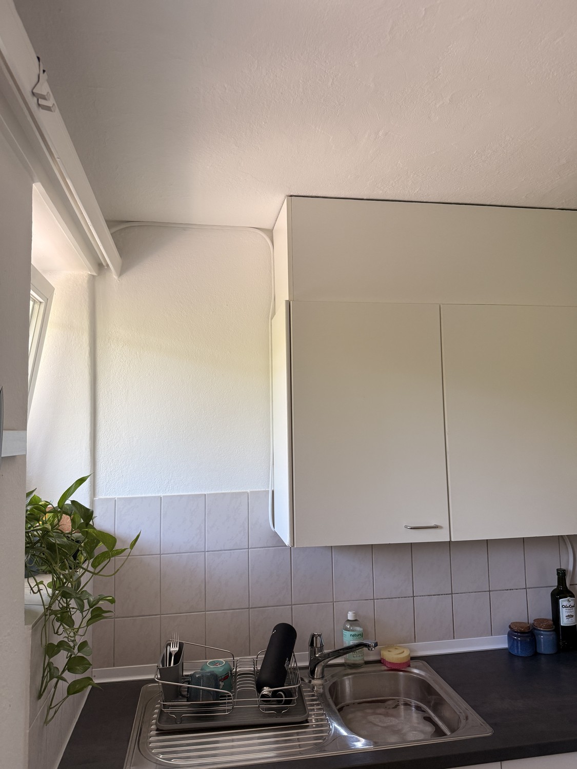 appartamento di 2 locali