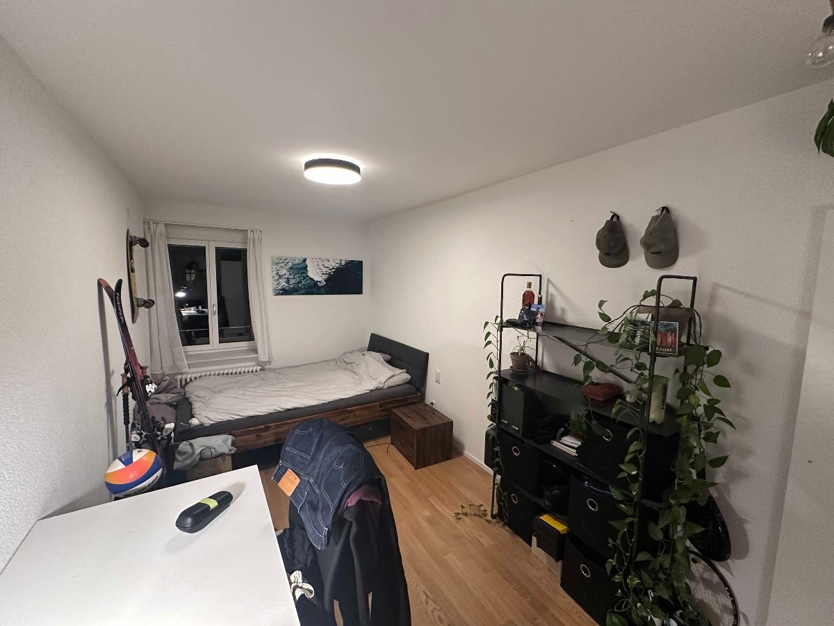 Room in a shared flat