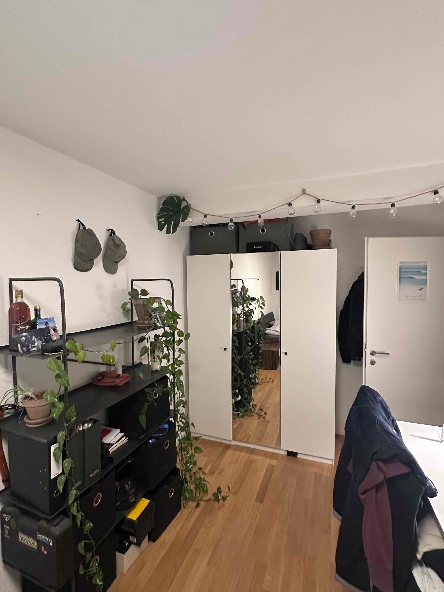 Room in a shared flat