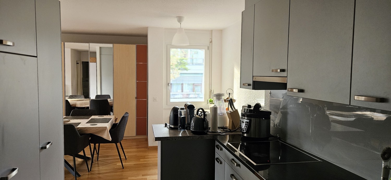 Appartamento di 2 ½ locali