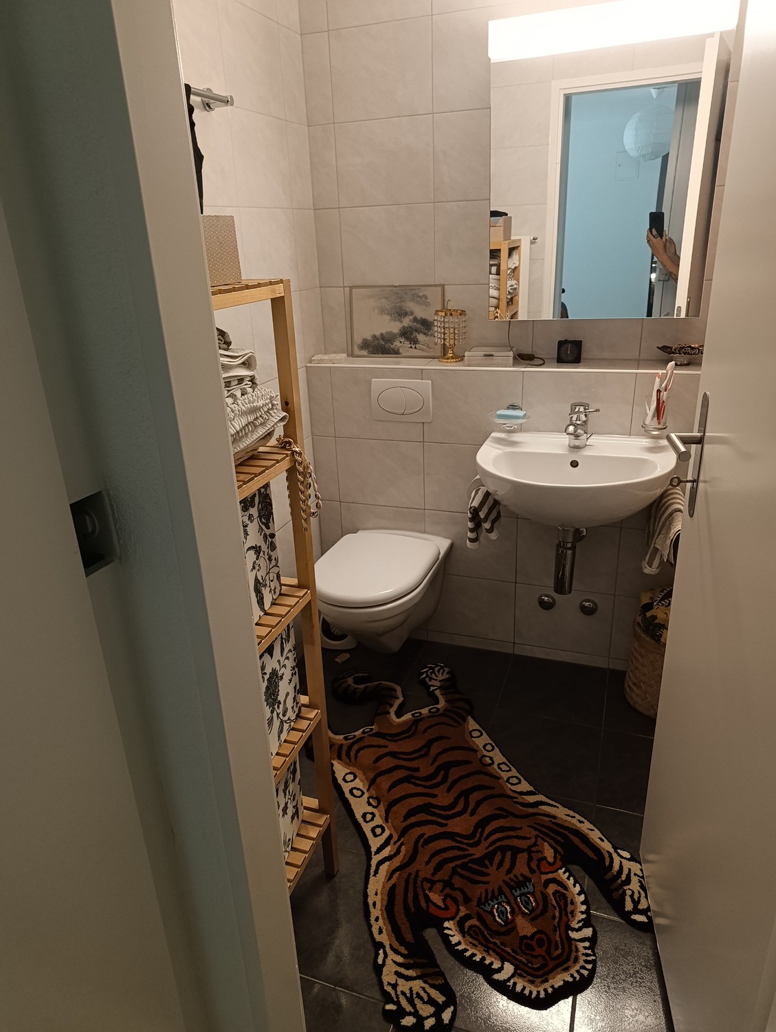 2 ½ rooms apartment