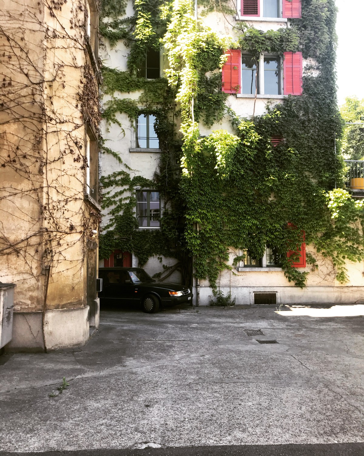 2 ½ Zimmer-Wohnung