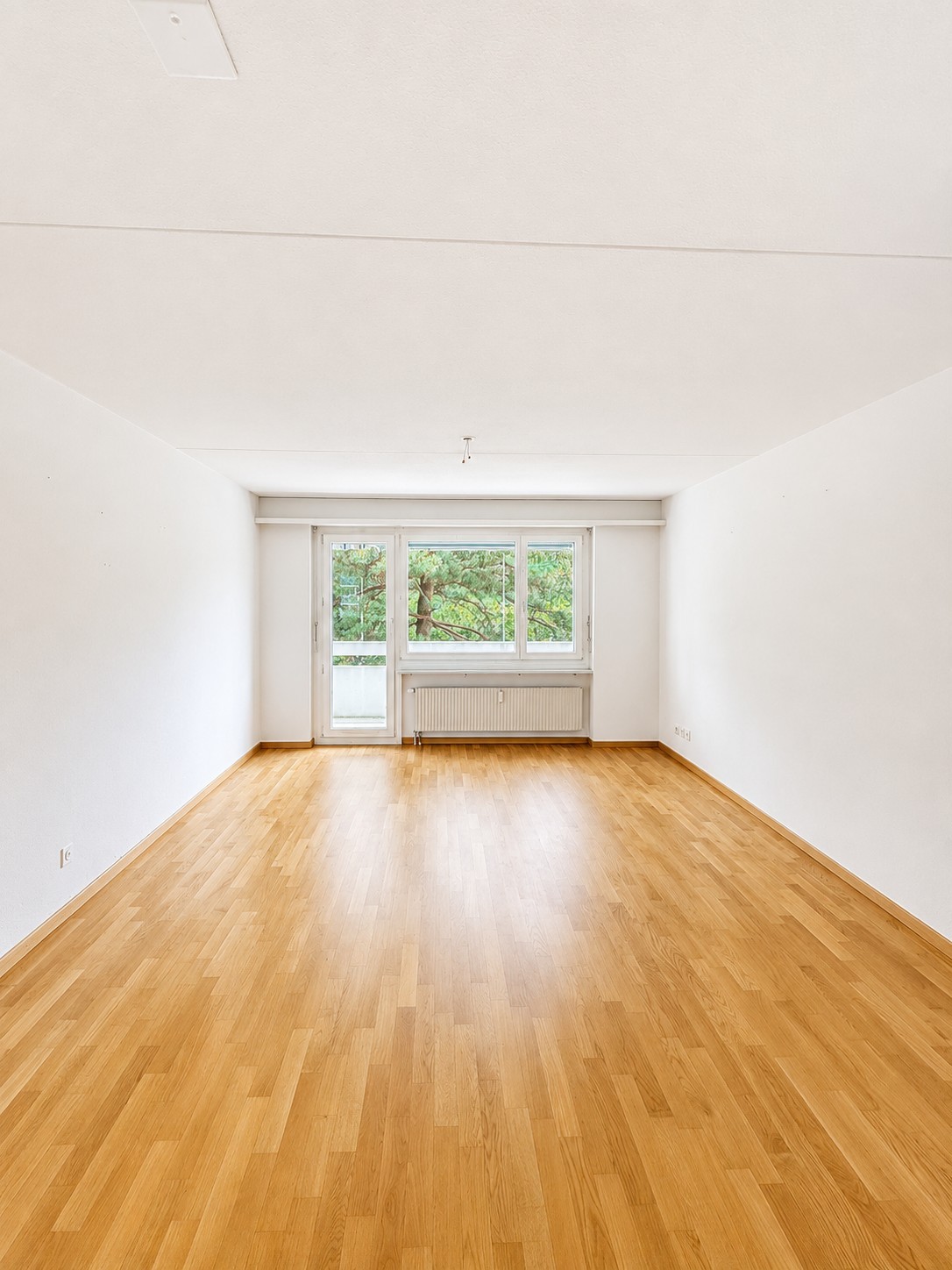 1 room apartment