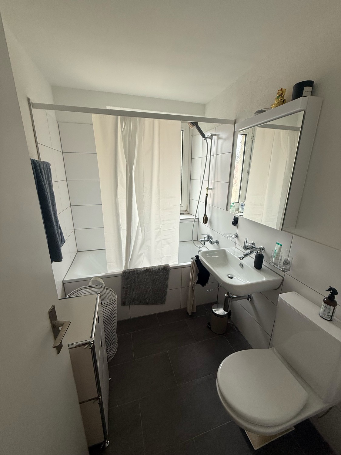 Room in a shared flat