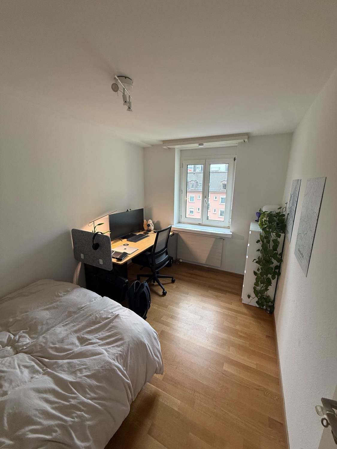 Room in a shared flat