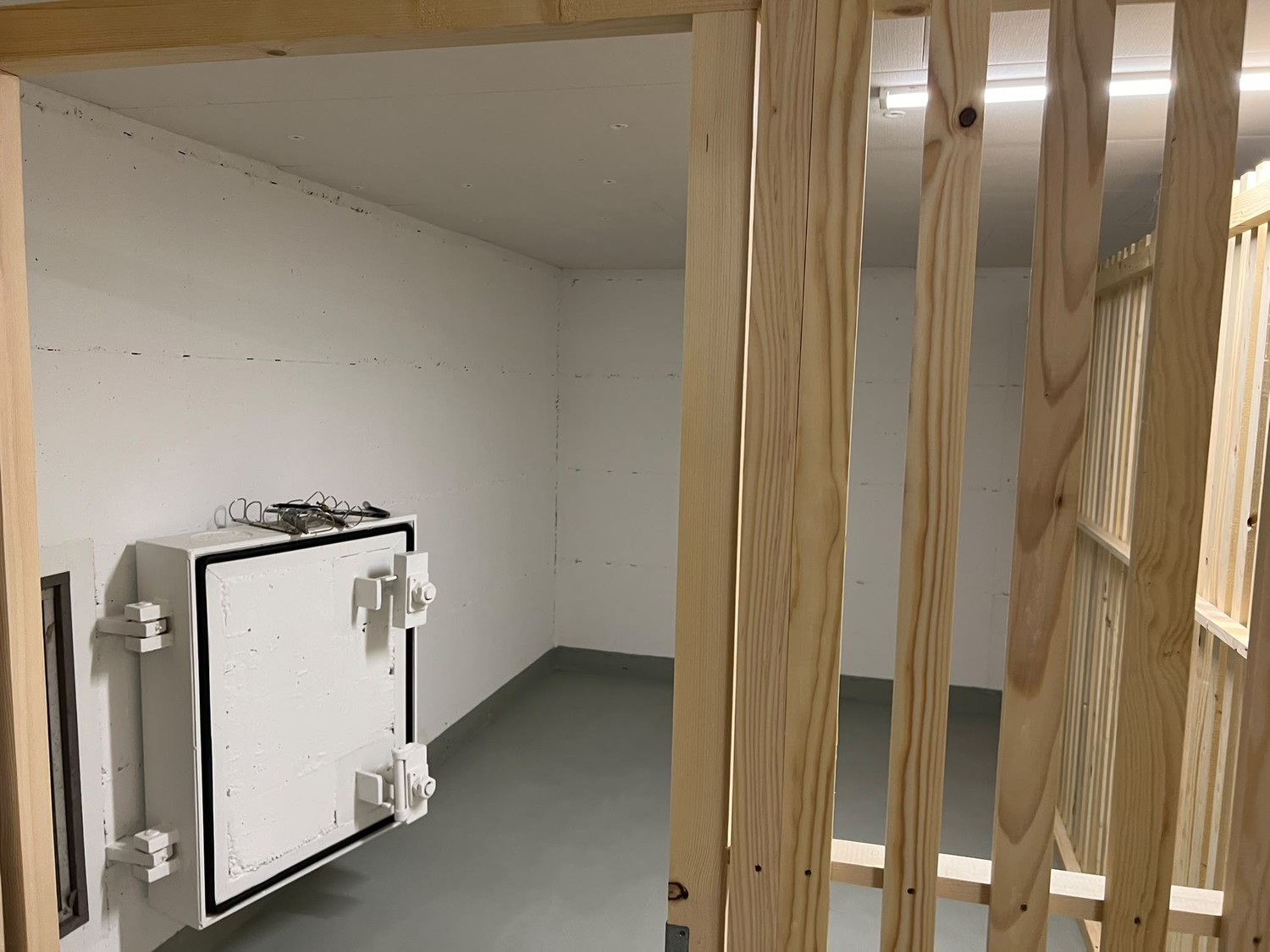 Room in a shared flat