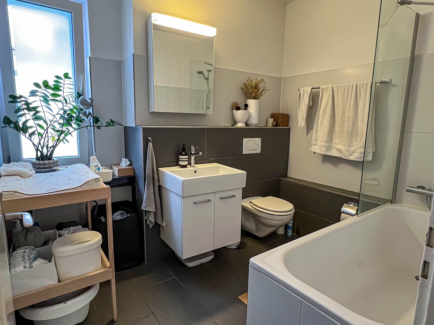 2 ½ Zimmer Wohnung