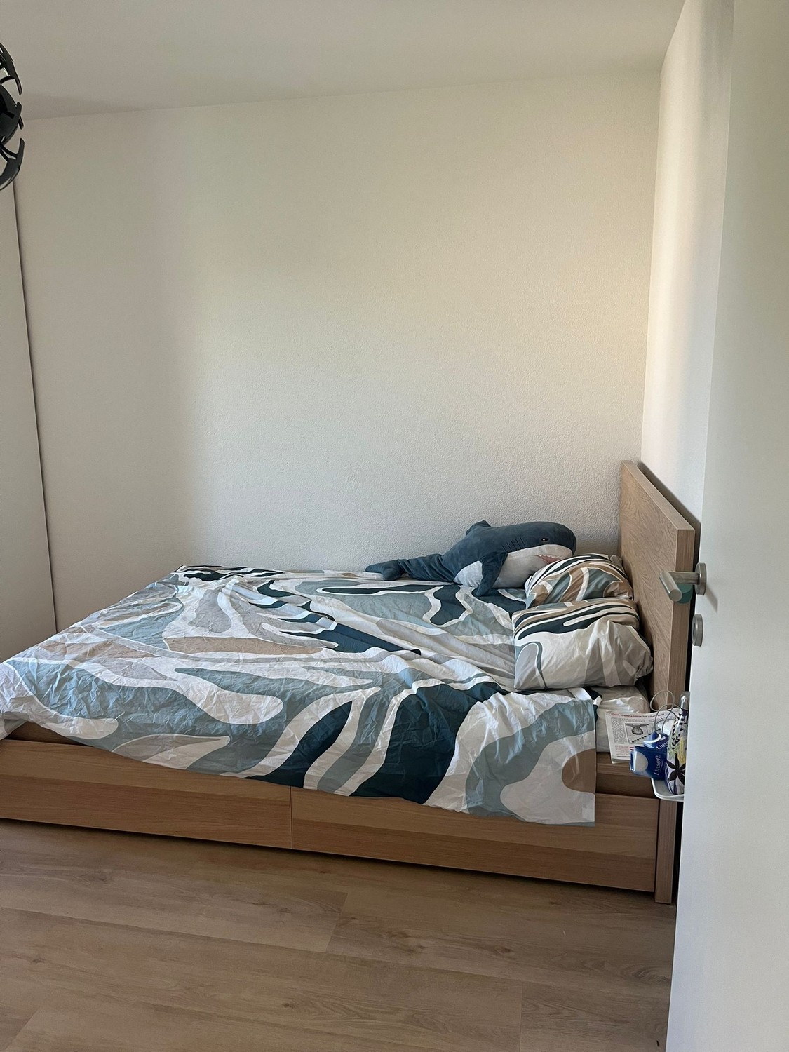 Stanza in un appartamento condiviso
