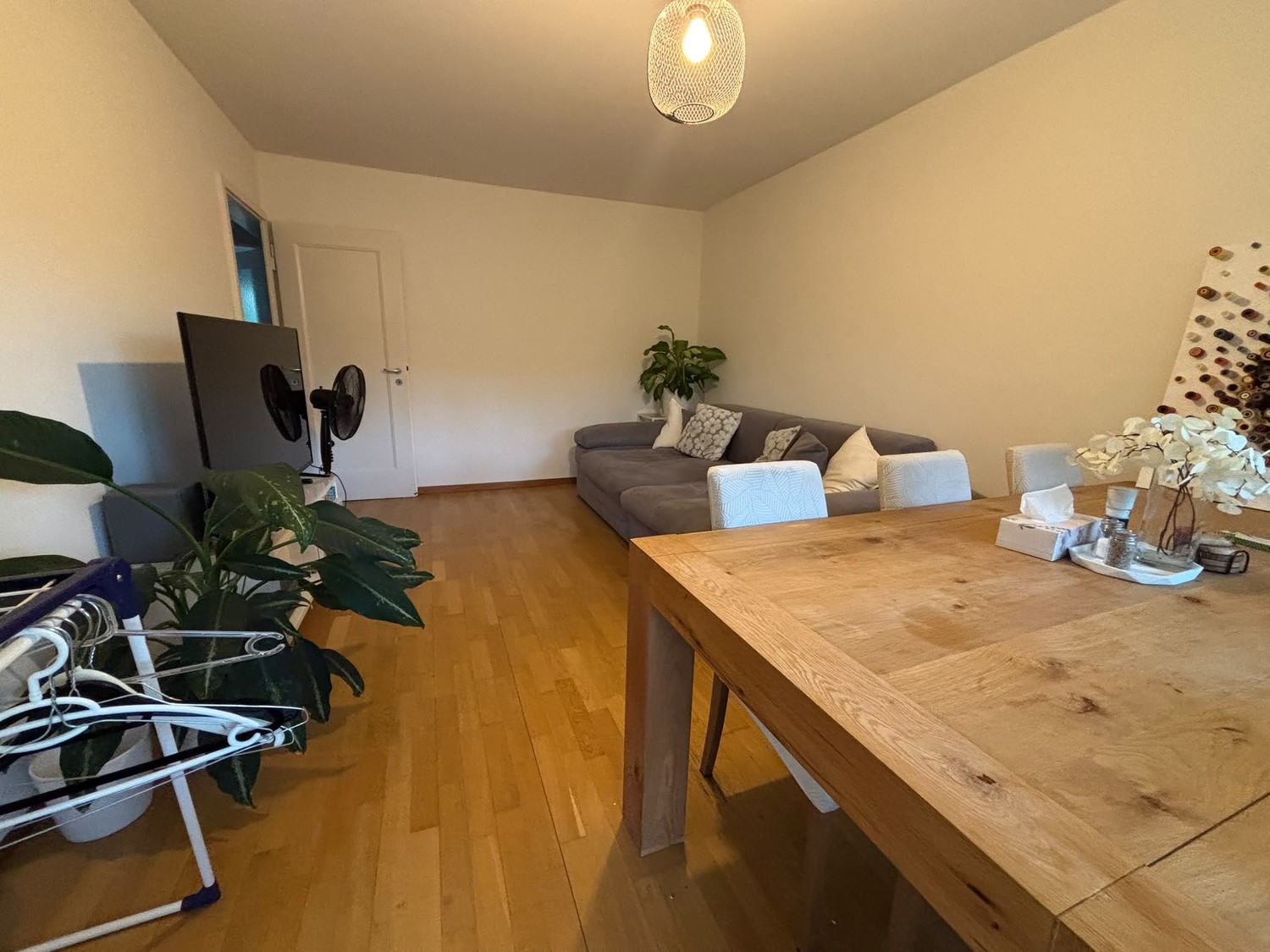 Room in a shared flat