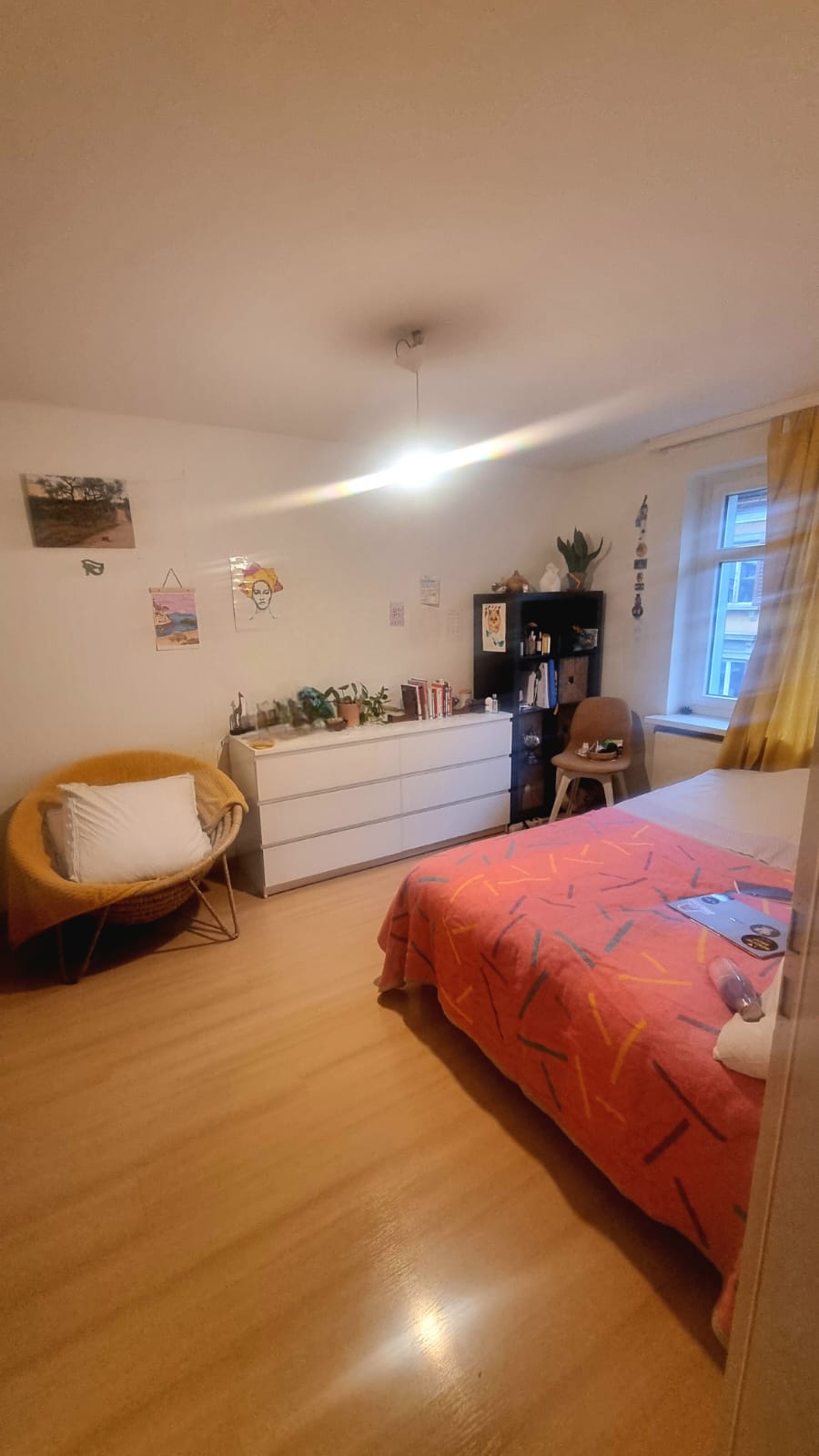 Room in a shared flat