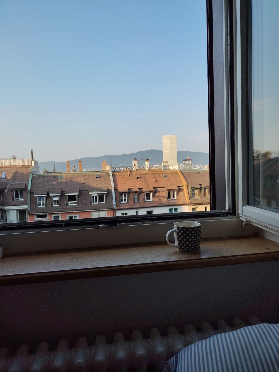 Room in a shared flat