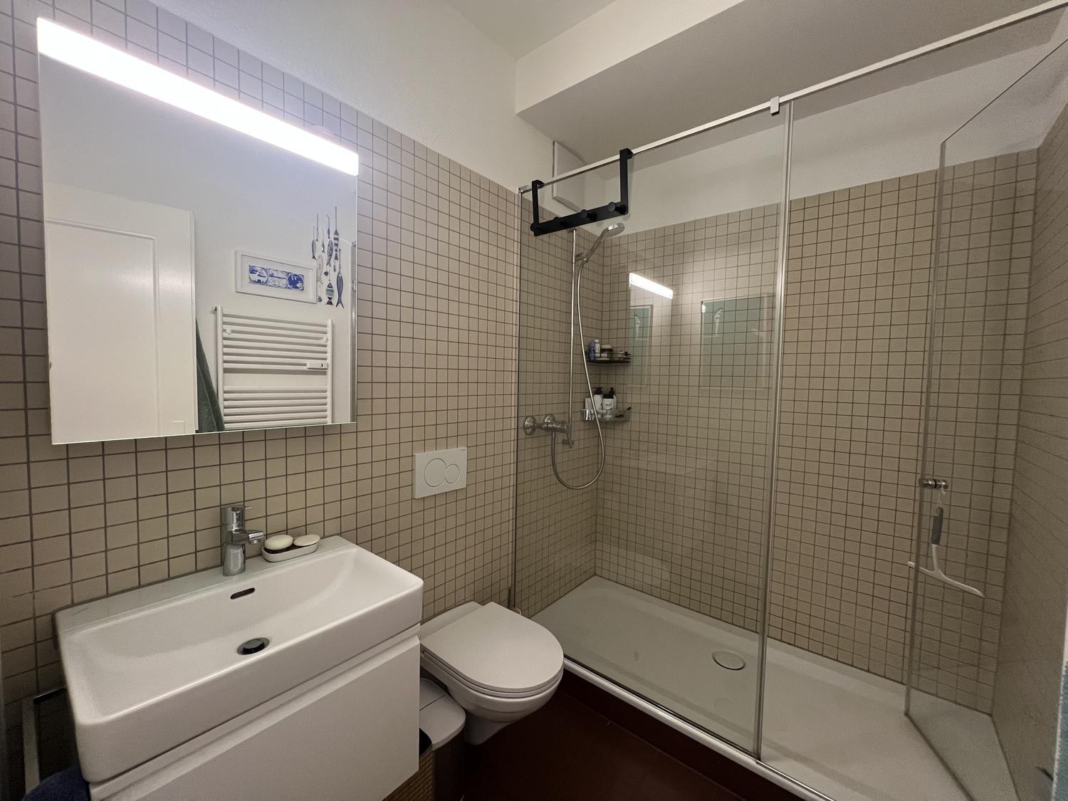 2 ½ rooms apartment