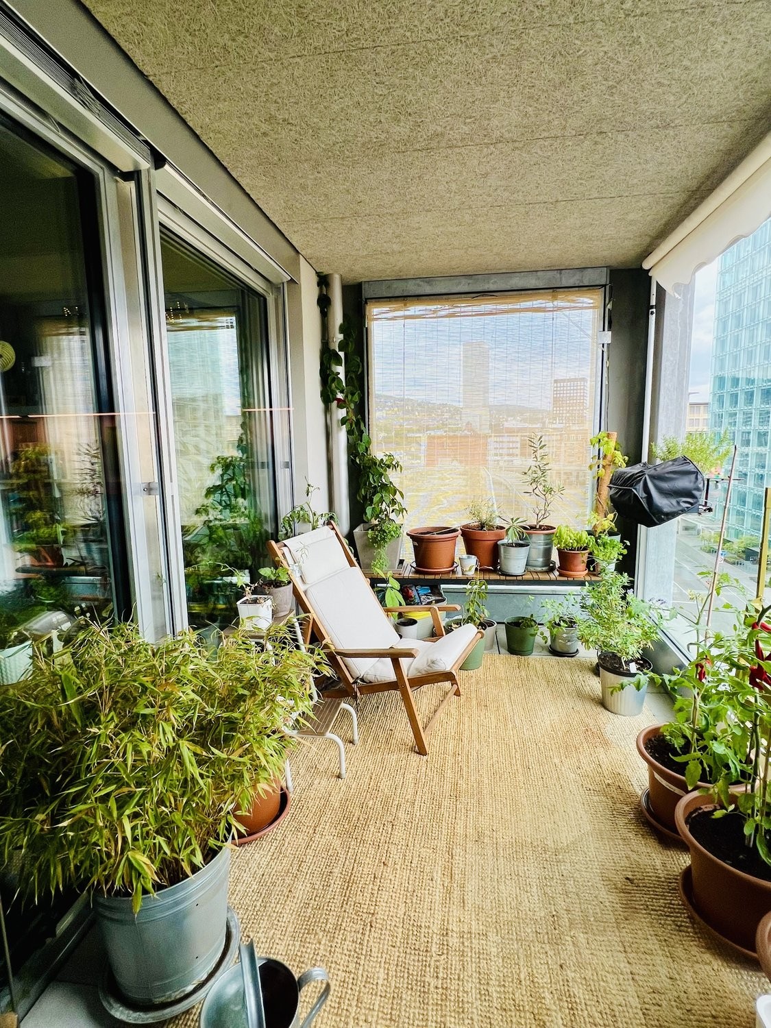 2 ½ rooms furnished flat