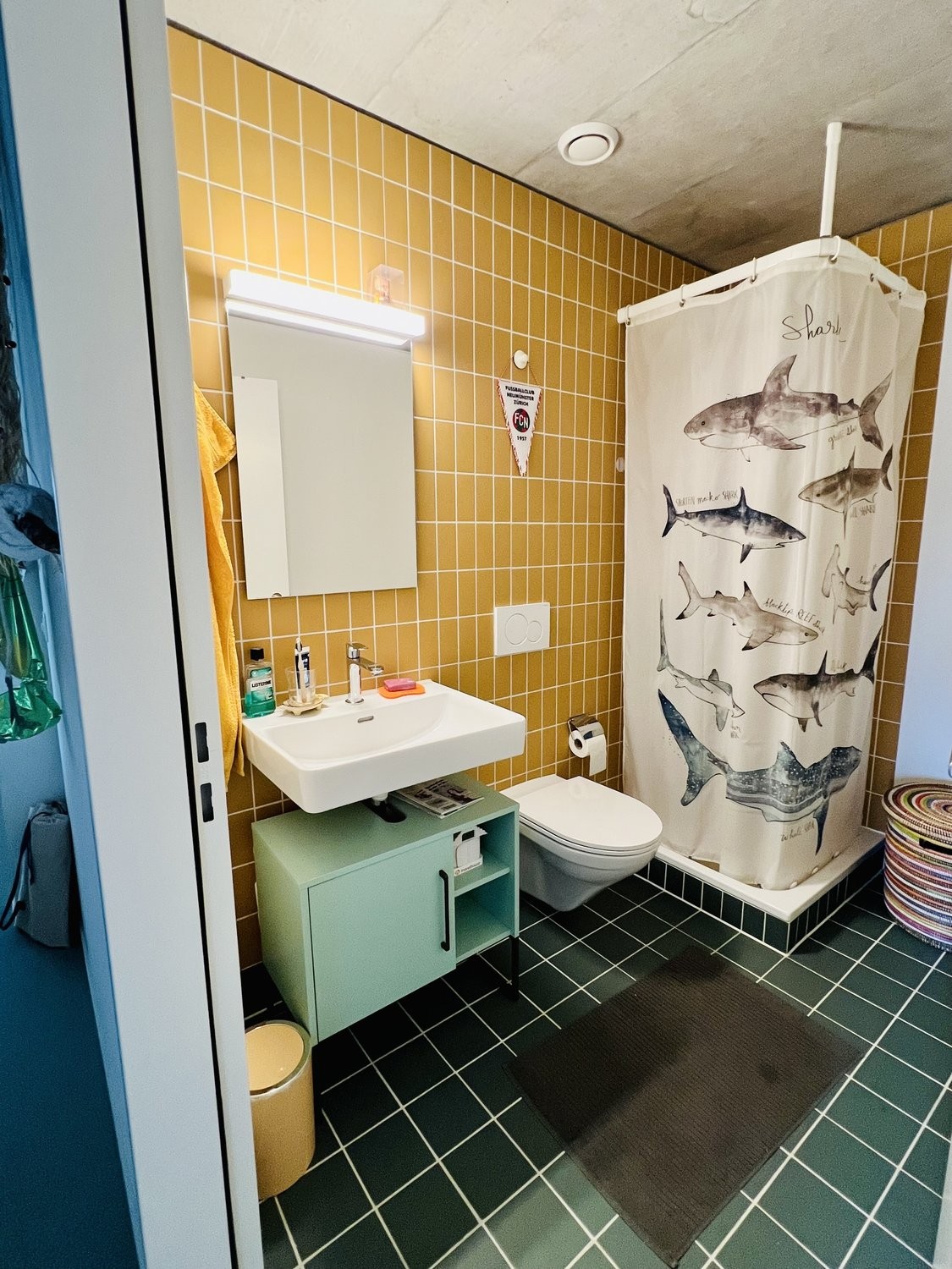 2 ½ rooms furnished flat