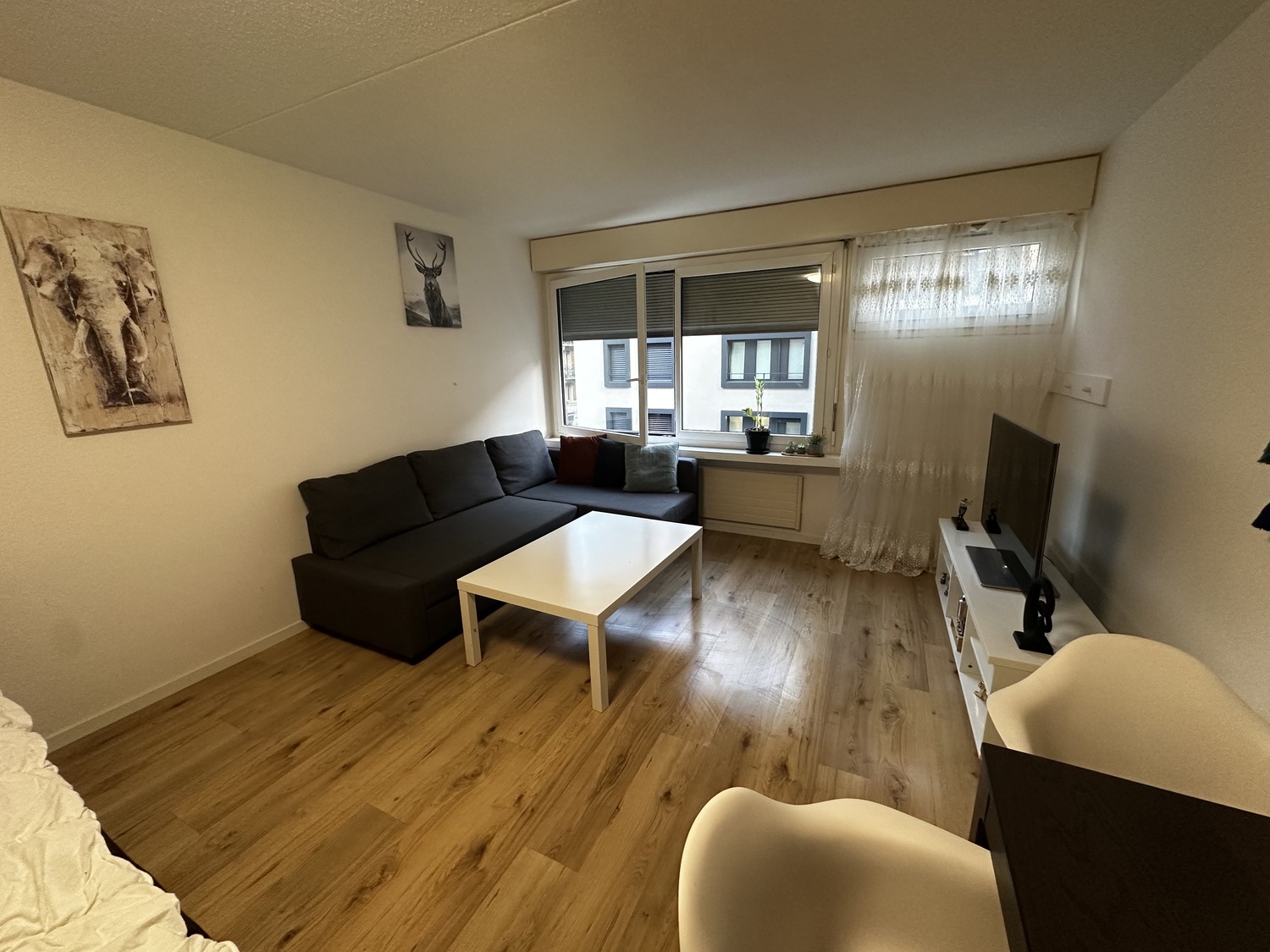 1 room apartment
