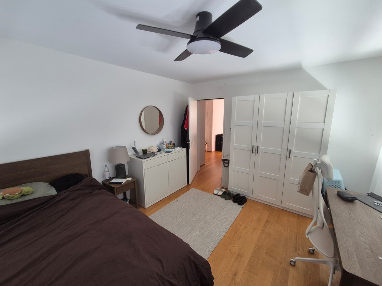 Room in a shared flat
