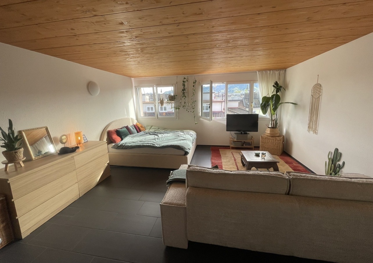 Appartement 1 pièce