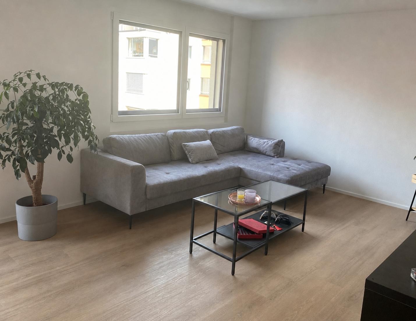 3 ½ Zimmer-Wohnung