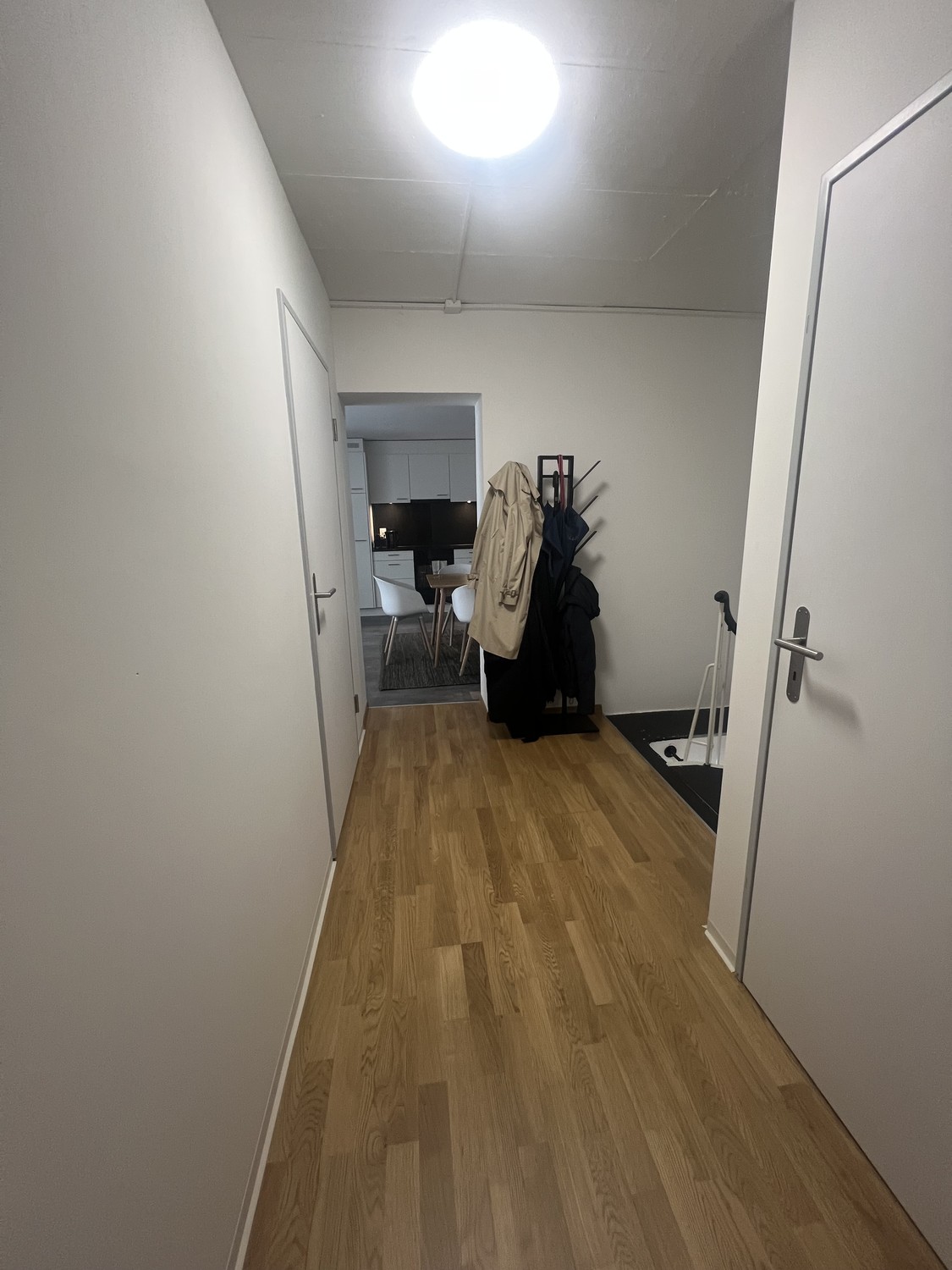 Room in a shared flat