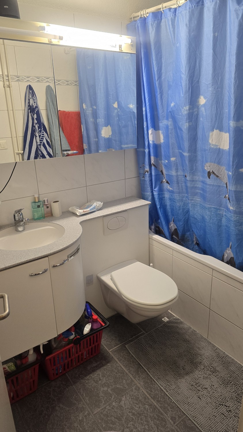 Room in a shared flat