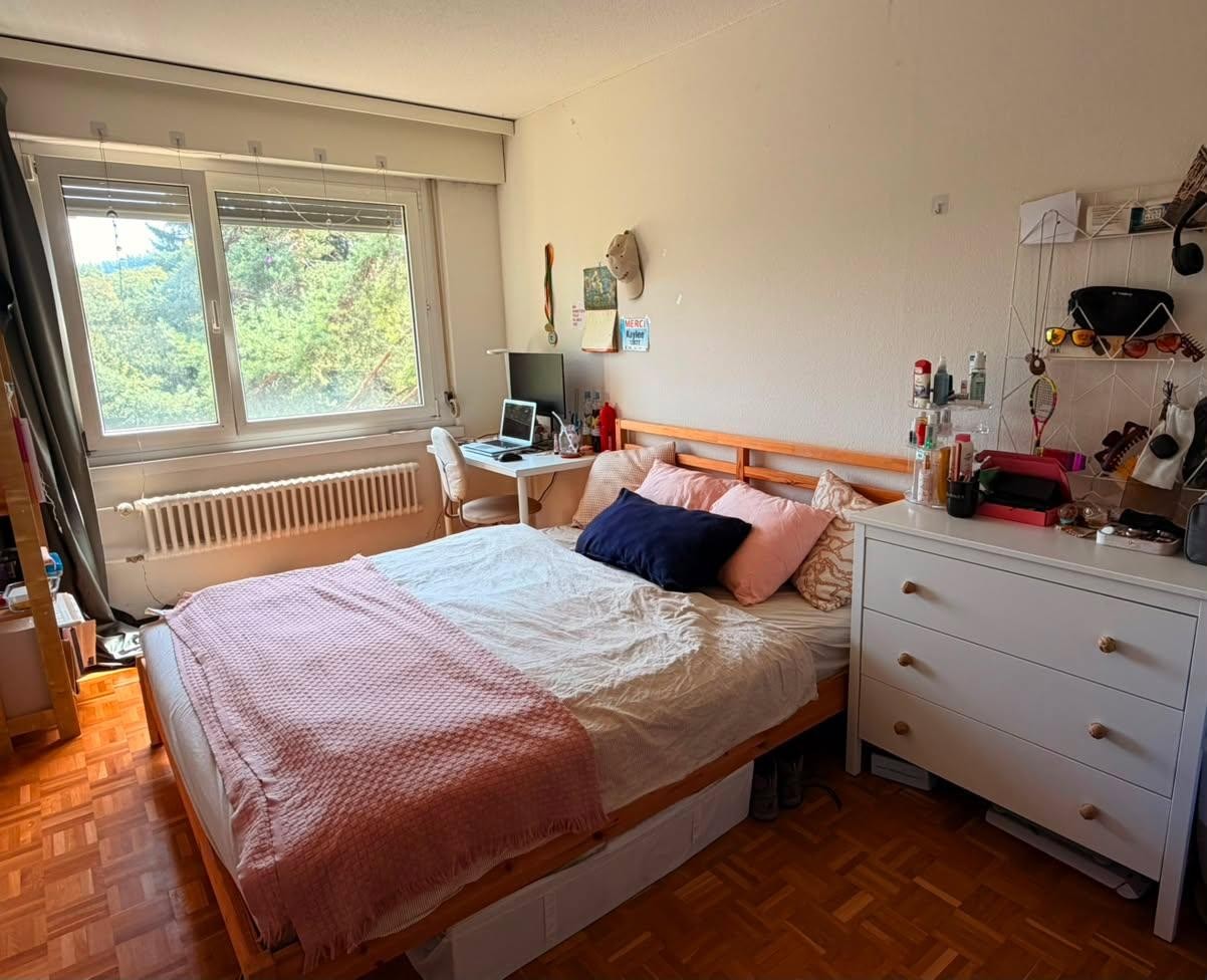 Room in a shared flat