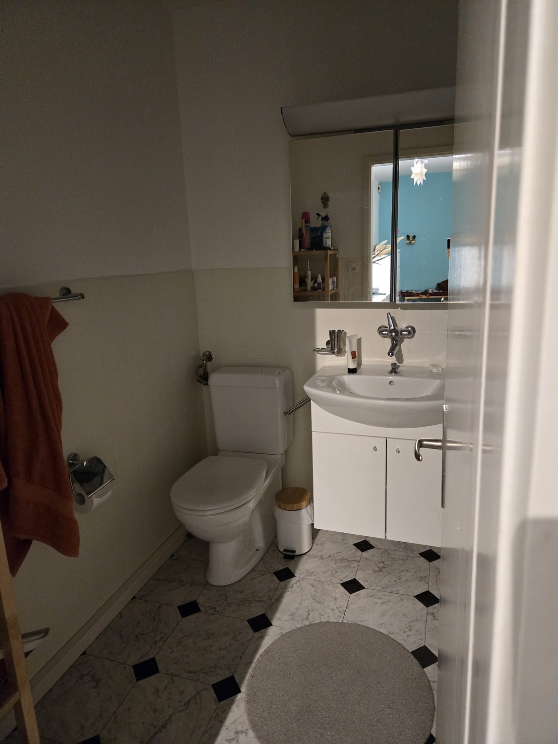 Room in a shared flat