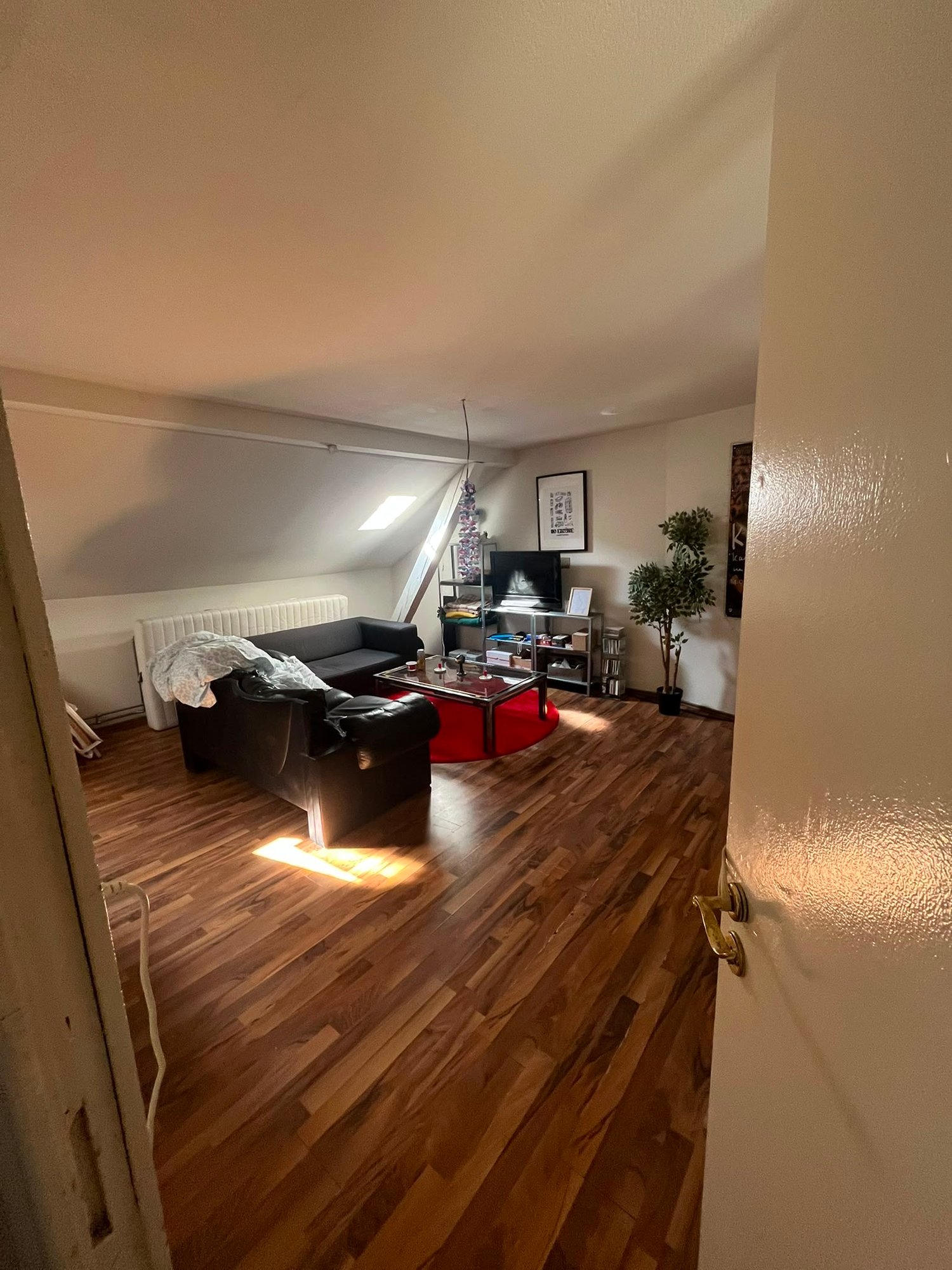 Room in a shared flat
